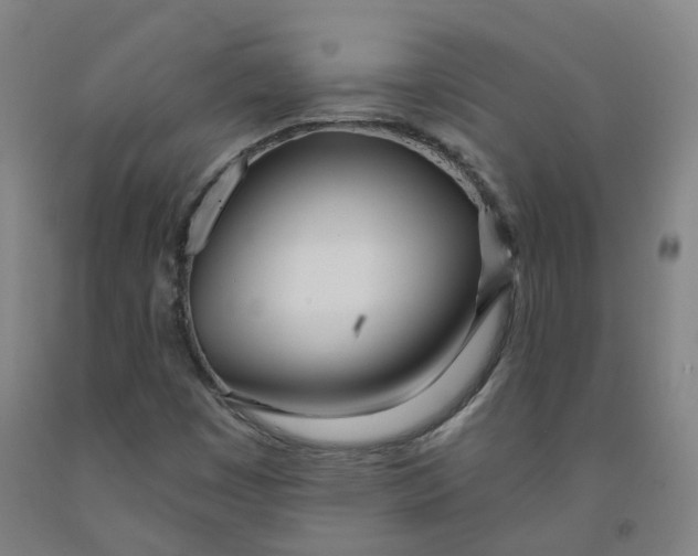 X0000091991449200709271438