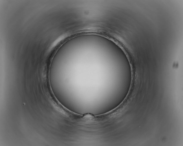 X0000091991450200709271438