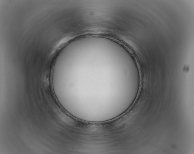 X0000091991451200709271438