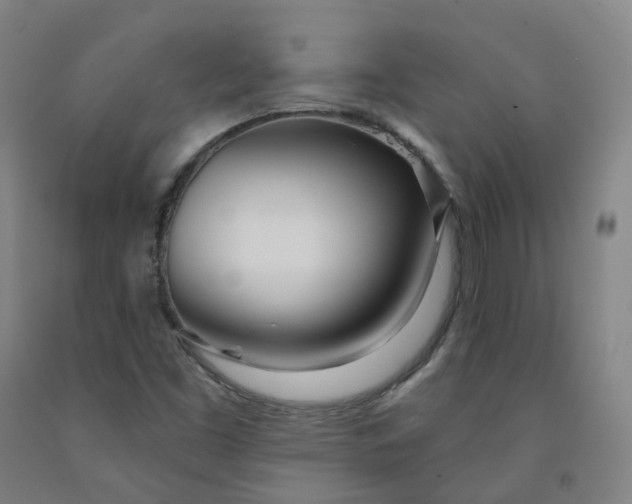 X0000091991453200709271438