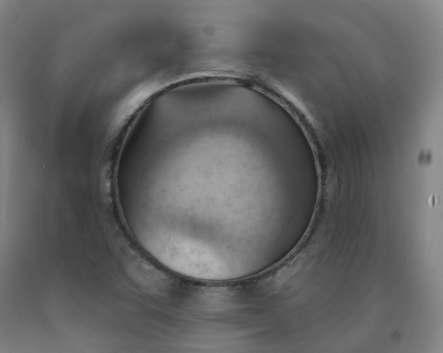 X0000091991455200709271438