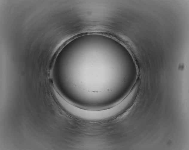 X0000091991457200709271438