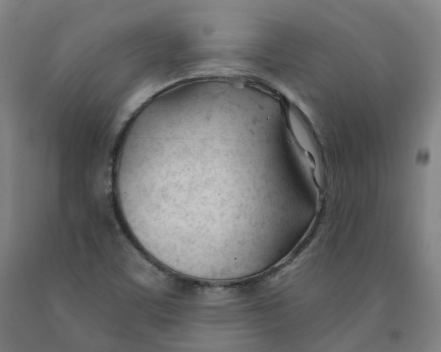 X0000091991459200709271438