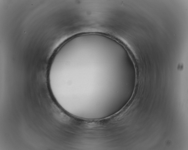 X0000091991460200709271438