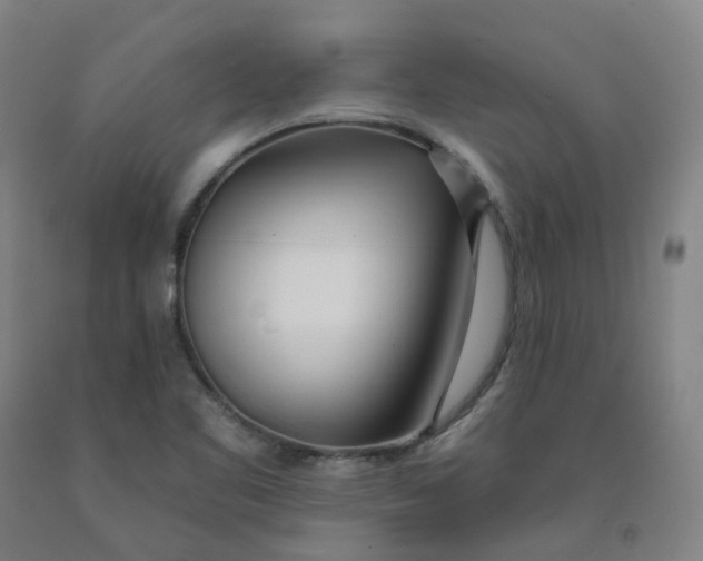 X0000091991461200709271438