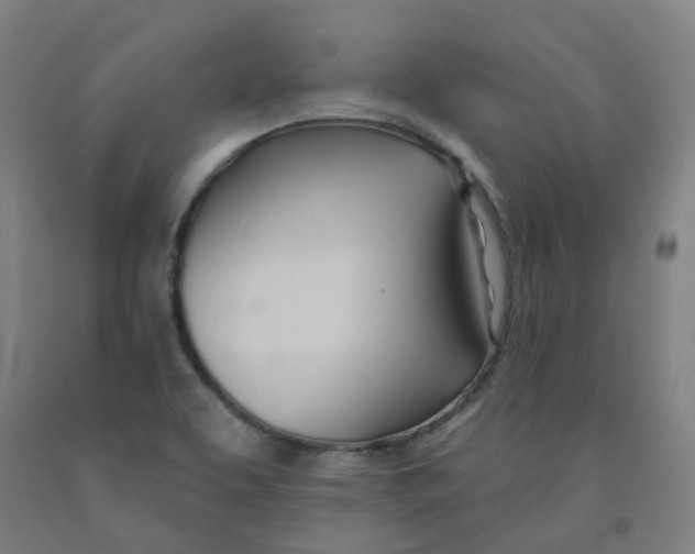 X0000091991463200709271438