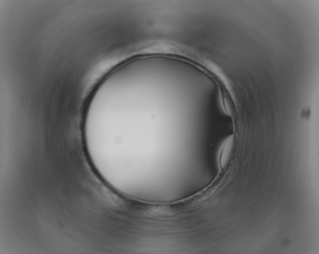 X0000091991464200709271438