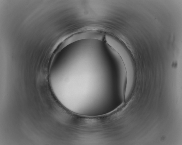 X0000091991465200709271438