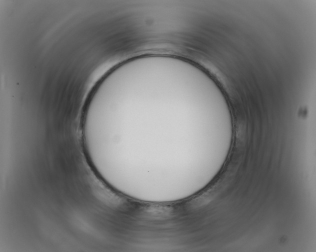 X0000091991466200709271438