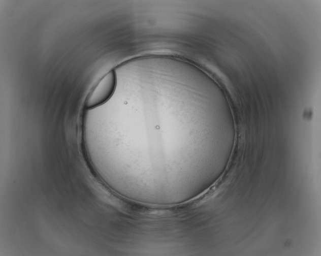 X0000091991467200709271438