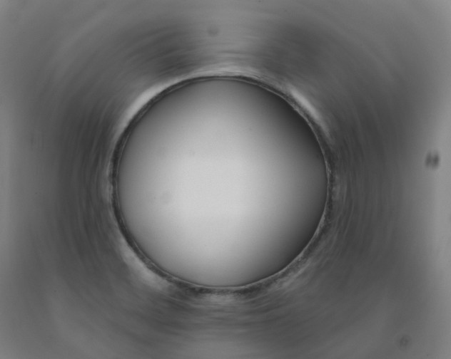 X0000091991468200709271438