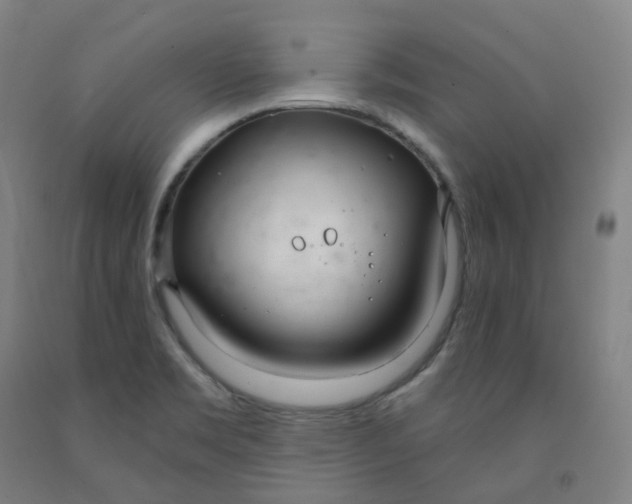 X0000091991469200709271438