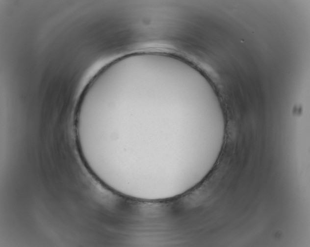 X0000091991470200709271438