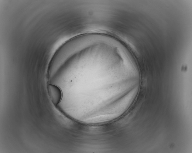 X0000091991471200709271438