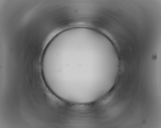 X0000091991474200709271438