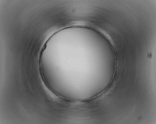 X0000091991475200709271438