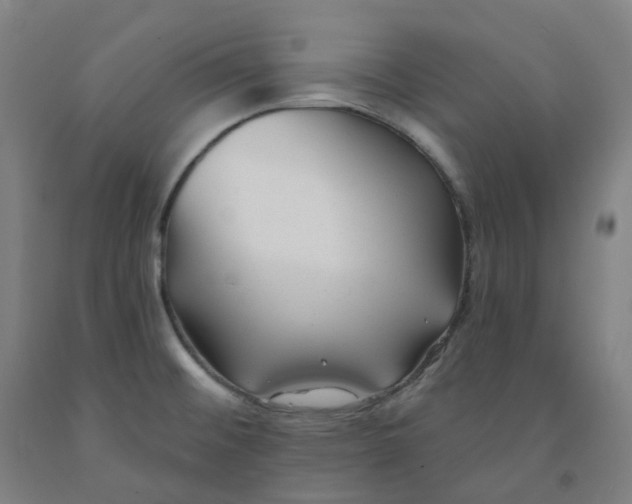 X0000091991476200709271438