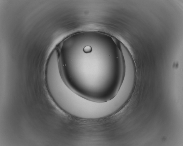 X0000091991477200709271438