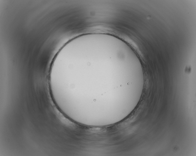 X0000091991478200709271437