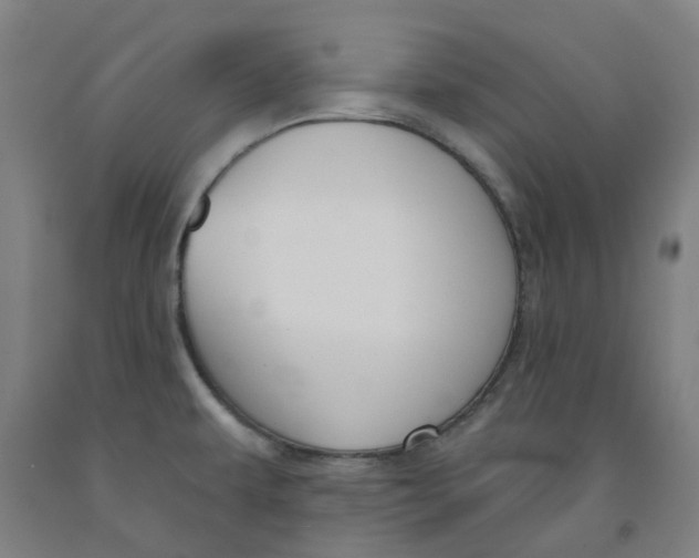 X0000091991479200709271437