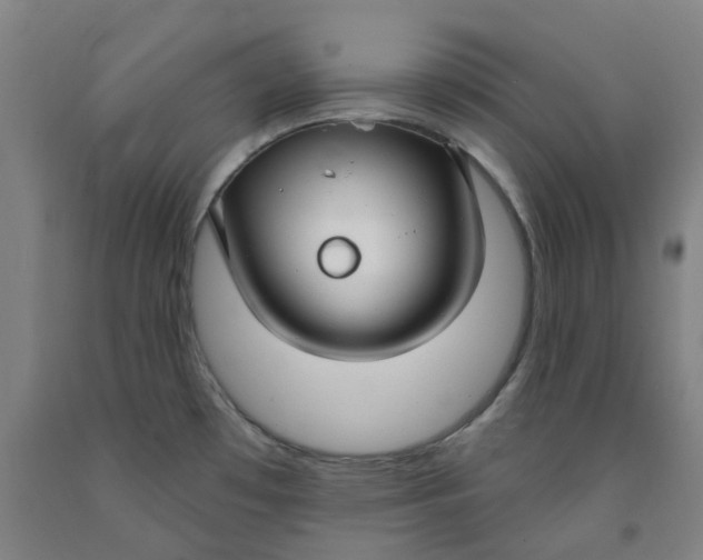 X0000091991481200709271437