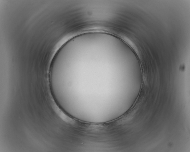 X0000091991482200709271437