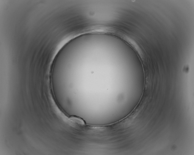 X0000091991483200709271437