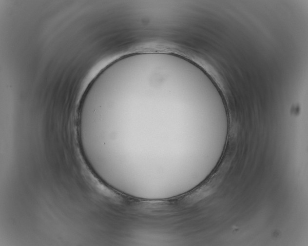 X0000091991486200709271437