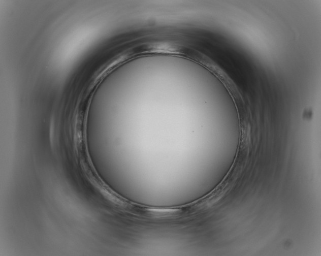 X0000091991487200709271437