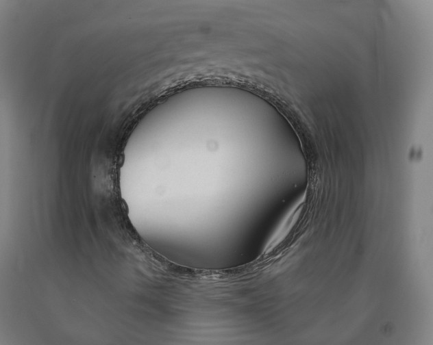 X0000091991490200709271437