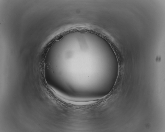 X0000091991496200709271437