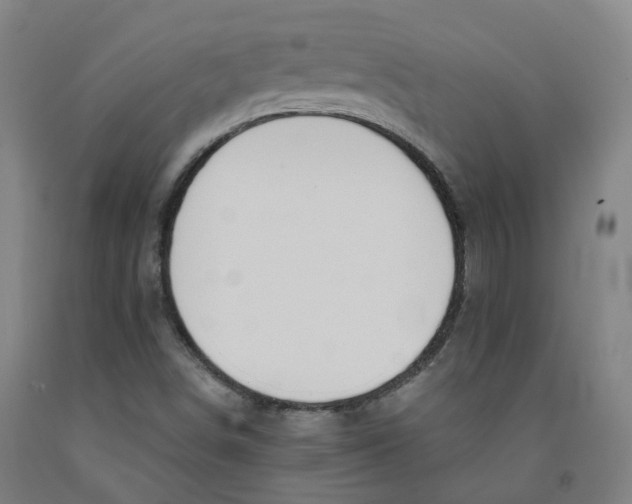 X0000091991498200709271437