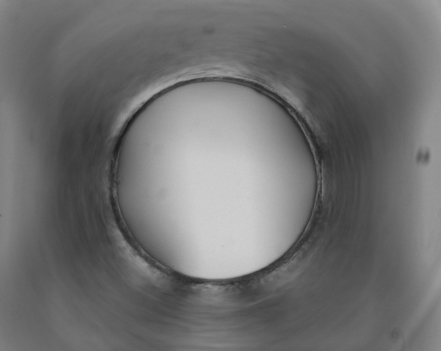 X0000091991500200709271437