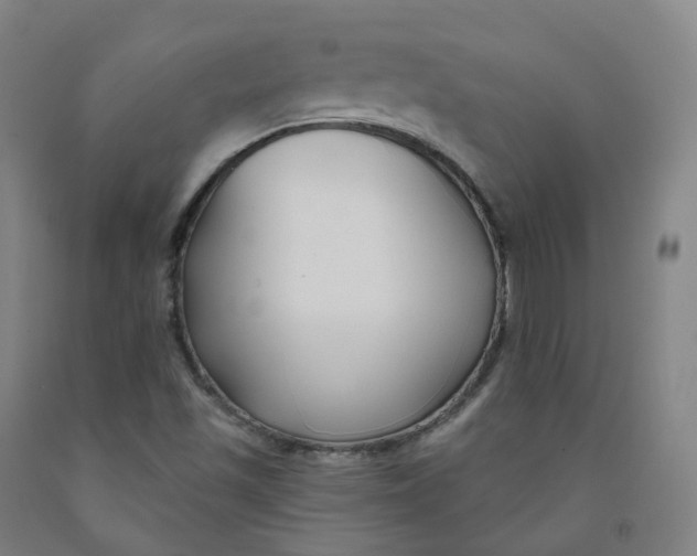 X0000091991501200709271437