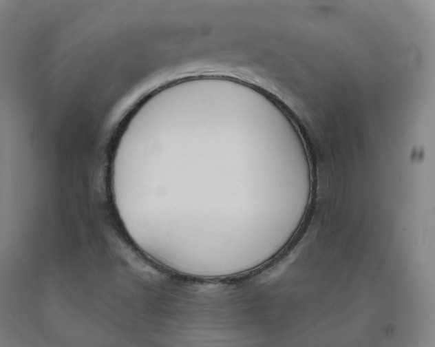 X0000091991502200709271437