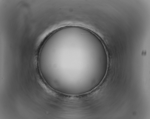 X0000091991503200709271437