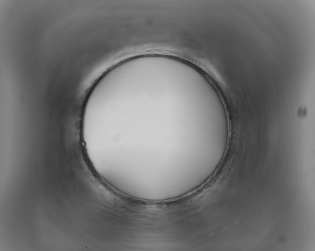 X0000091991504200709271437