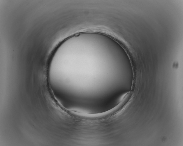 X0000091991506200709271437