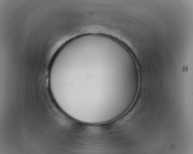 X0000091991509200709271437