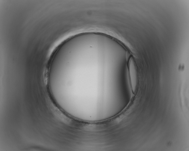 X0000091991510200709271437