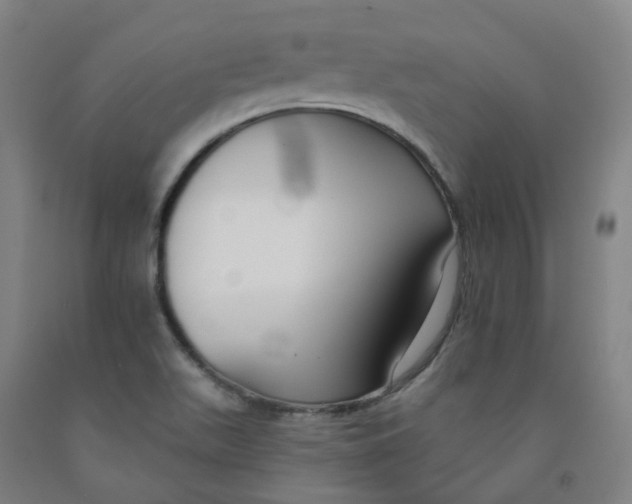 X0000091991511200709271437