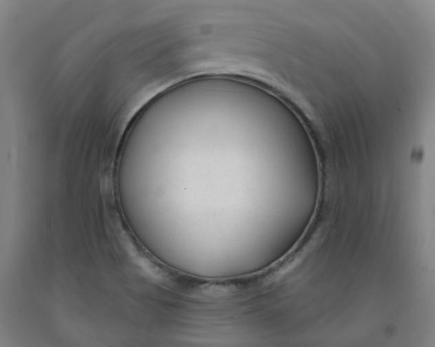 X0000091991513200709271437