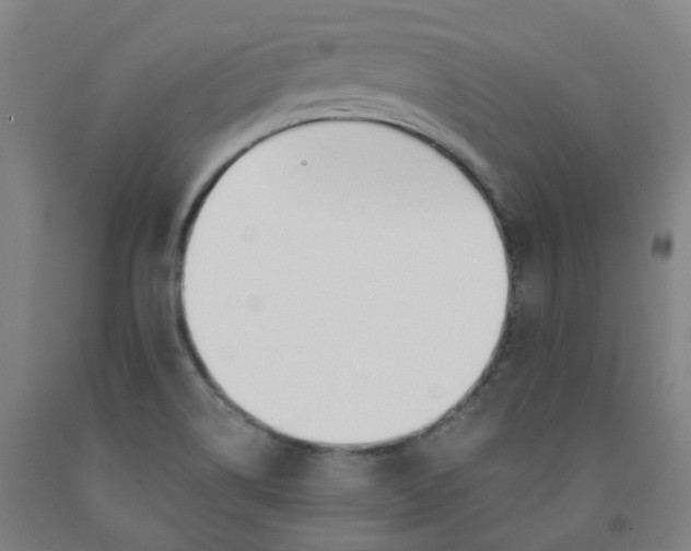 X0000091991514200709271437