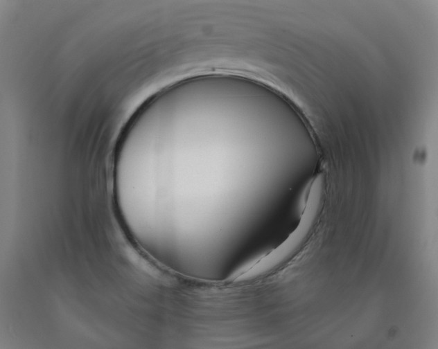 X0000091991515200709271437