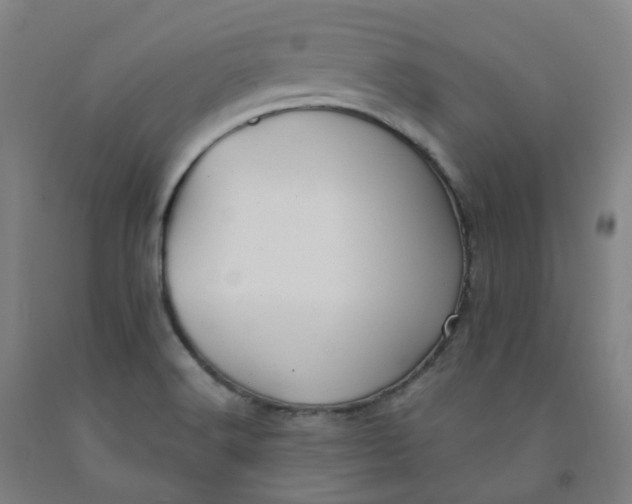 X0000091991516200709271437