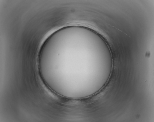 X0000091991517200709271437