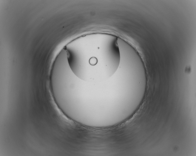 X0000091991520200709271437