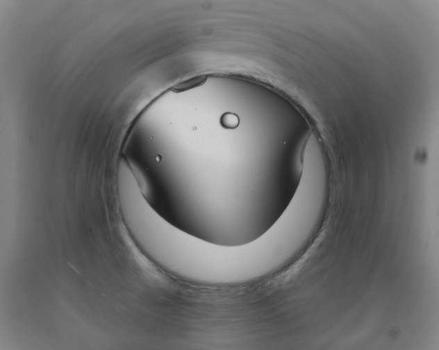 X0000091991521200709271437