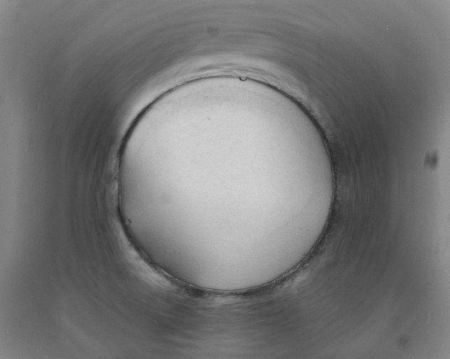 X0000091991522200709271437