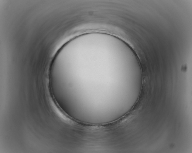 X0000091991523200709271437